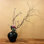満竹華庵 Manchikan