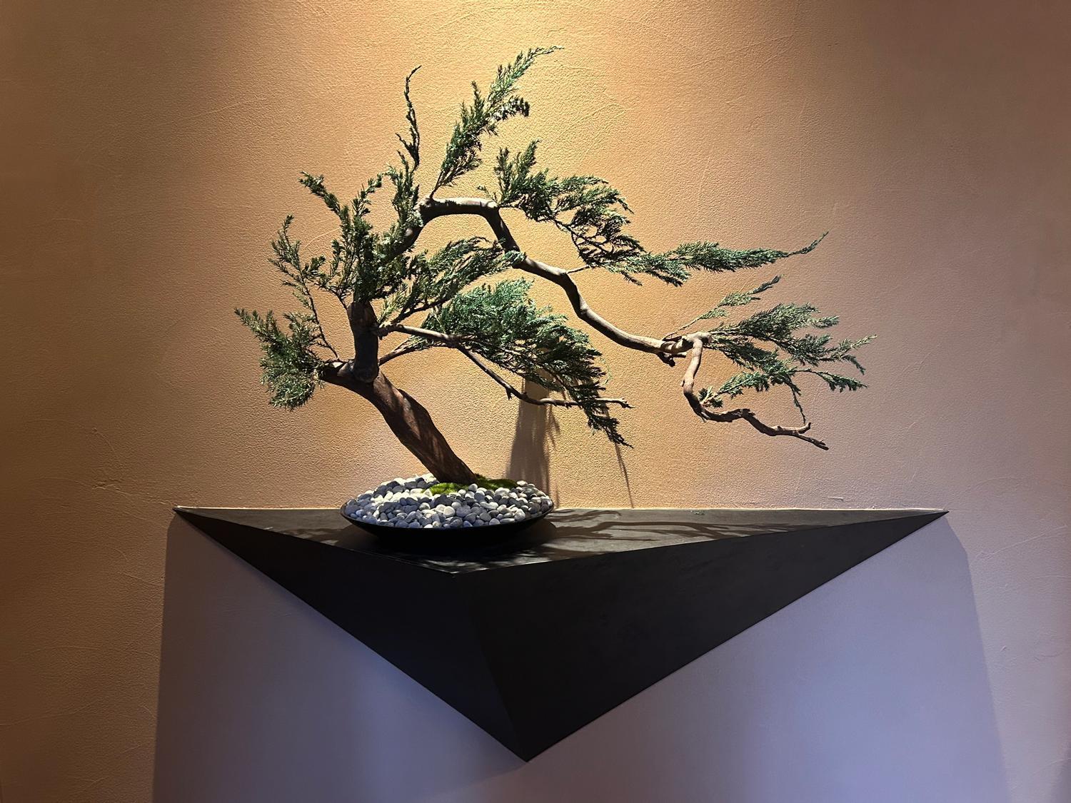 満竹華庵 Manchikan Apartment *